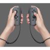 Nintendo Switch with Gray Joy‑Con - www.yallagoom.com.qa